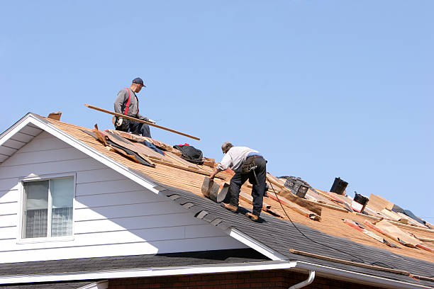 Skylights in Columbus, MN
